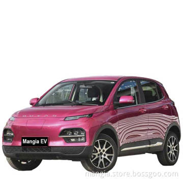 China Electric Vehicle Dayun Yuehu EV SUV with roof rack for sale New model 2023 can be charged and driven at high speed